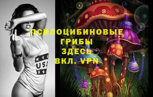 дмт Бородино