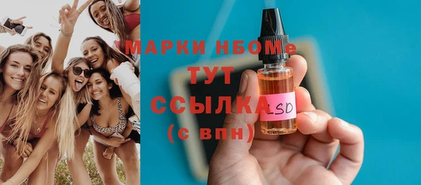 дмт Бородино