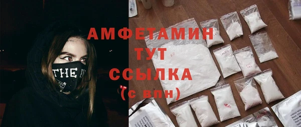 дмт Бородино