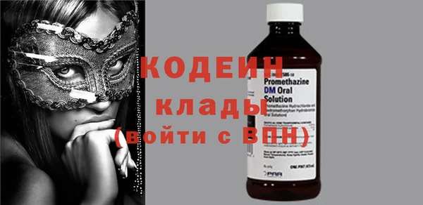 дмт Бородино