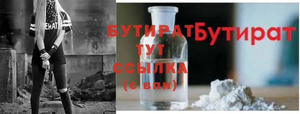дмт Бородино