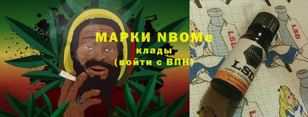 дмт Бородино