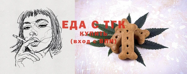 дмт Бородино