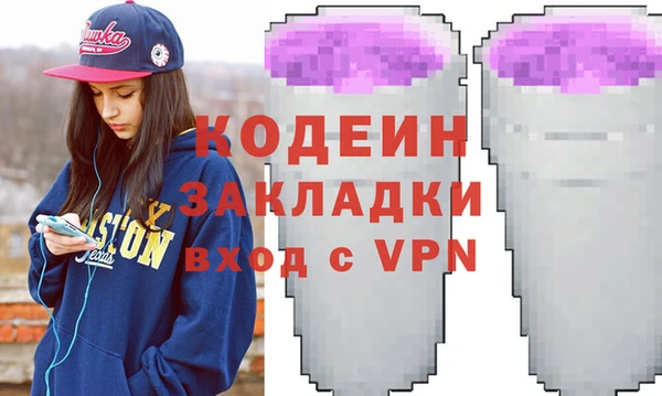дмт Бородино