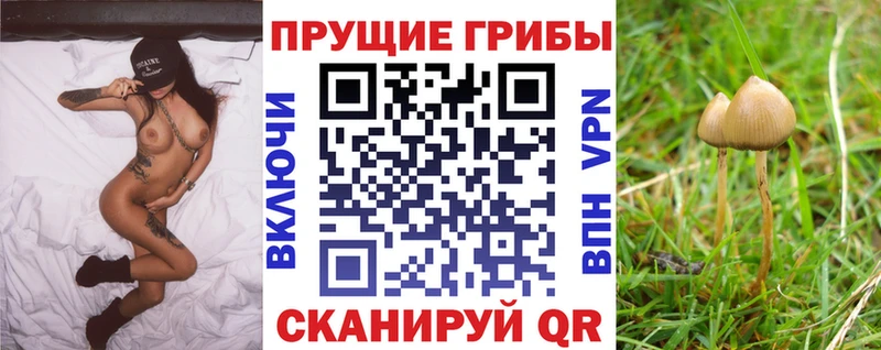 продажа наркотиков  Мегион  Псилоцибиновые грибы мицелий 